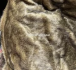FocusFur™ Arctic Pile – 5cm Dye-Tip Faux Fox Fur Fabric - Image 5