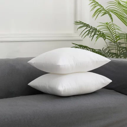 2Pcs Cushion Inserts Soft Square Pillow Luxe Sateen Pillowcase Set